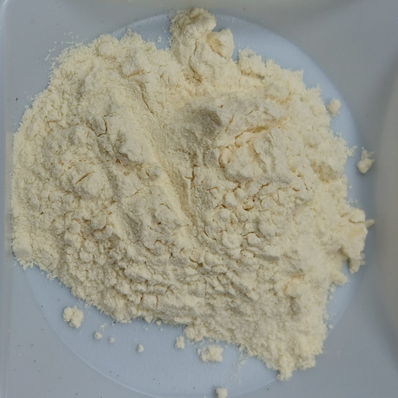 微生物培養基 Microbial Culture Medium - 凱頂科技